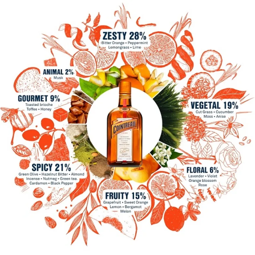 Discover the extraordinary Cointreau aroma wheel