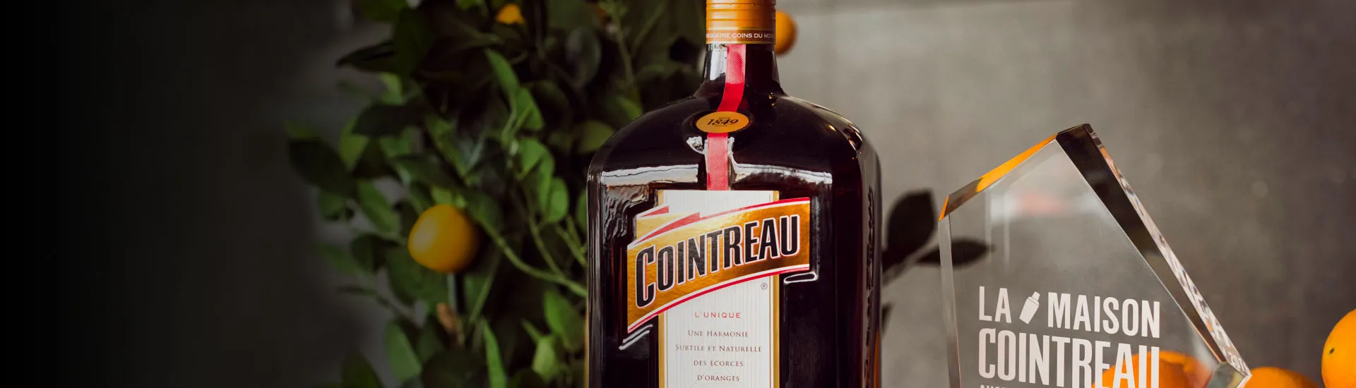 La maison Cointreau 2019