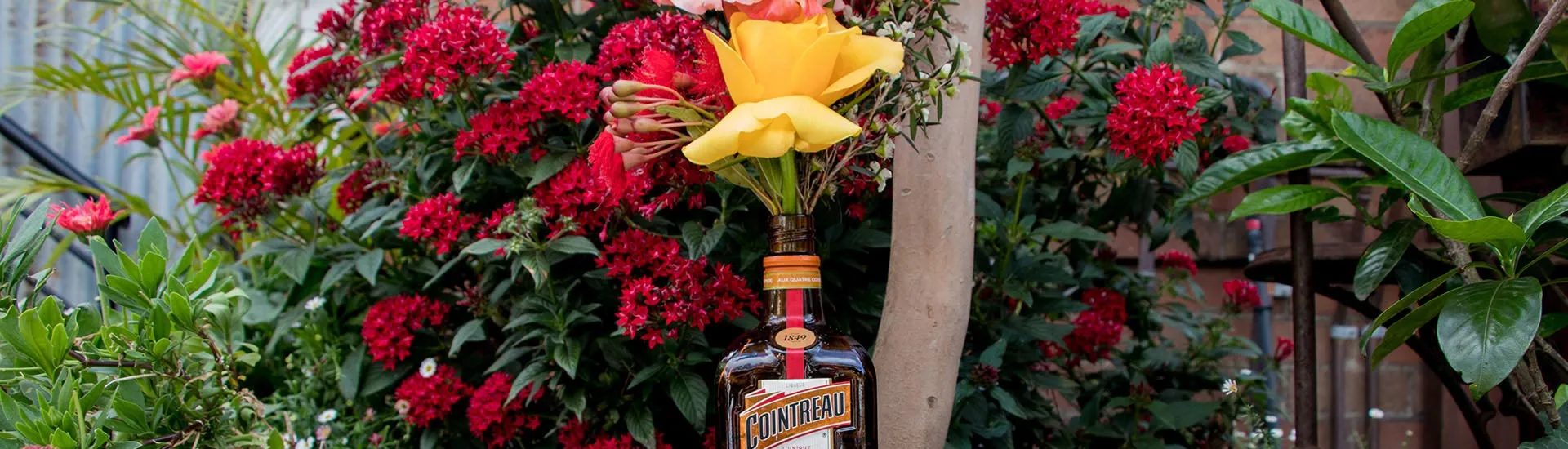 Cointreau spring