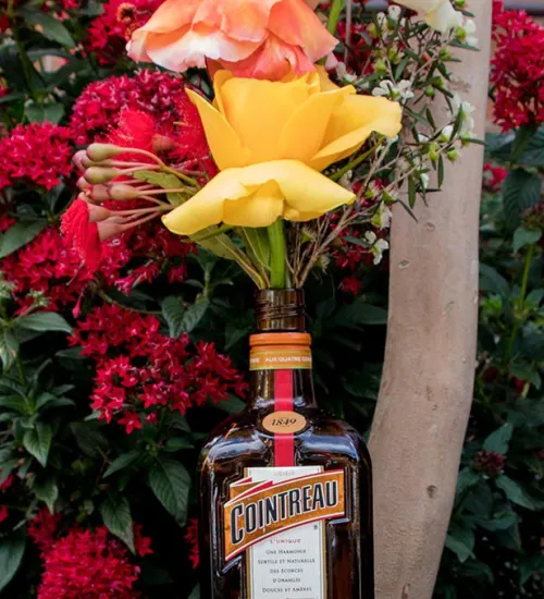 Cointreau spring