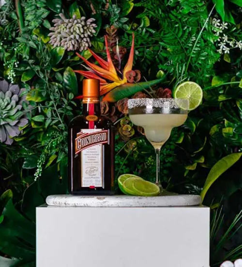 Your Margarita Guide to perfect summer entertaining