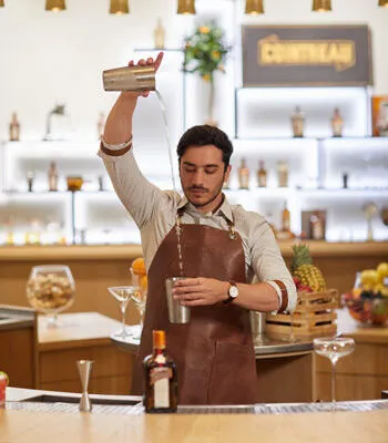 THE ART OF MIXOLOGY barman