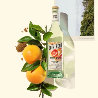Citrus Series