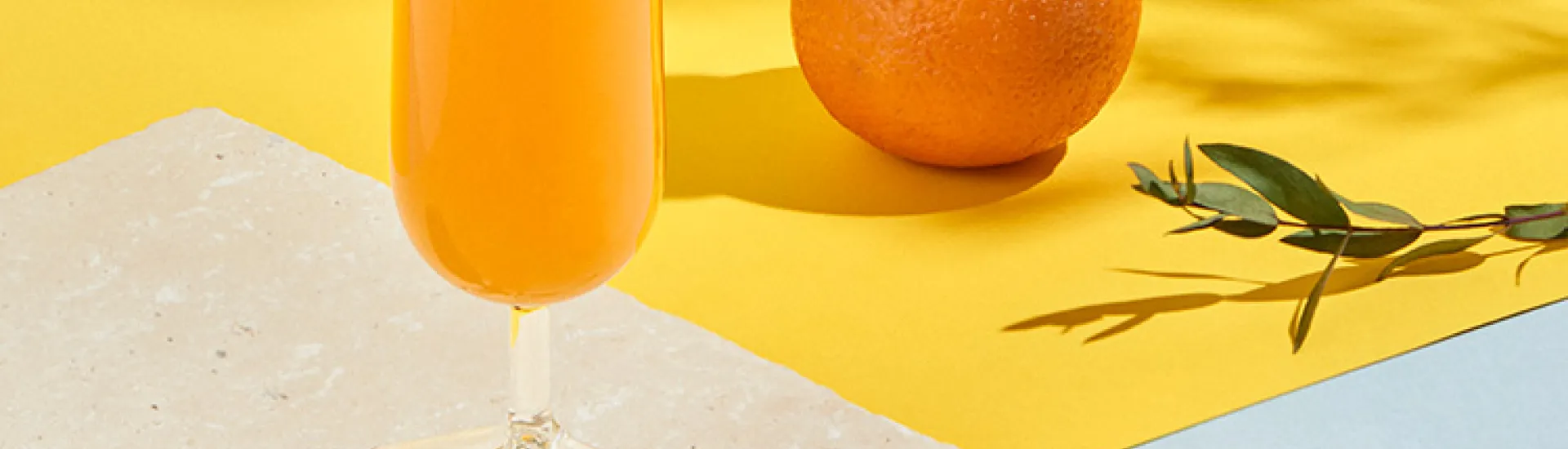 Mimosa