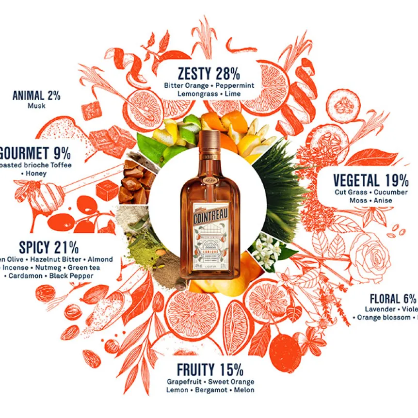 Cointreau aroma wheel