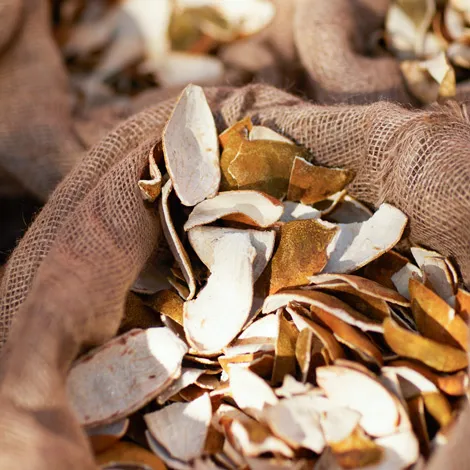 dry orange peels