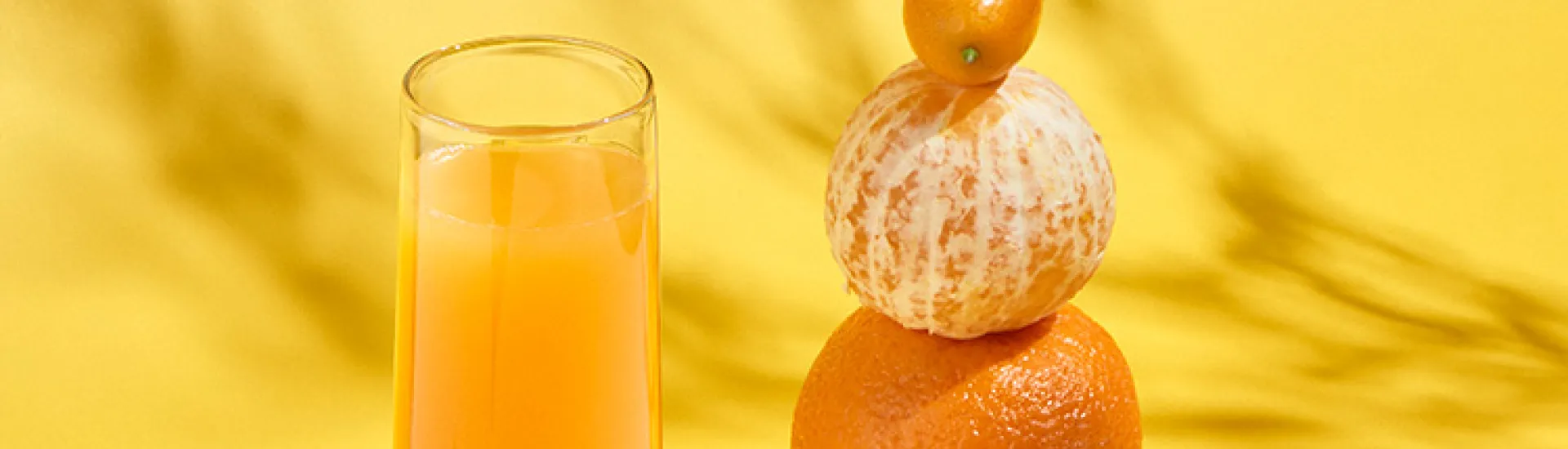 Mimosa