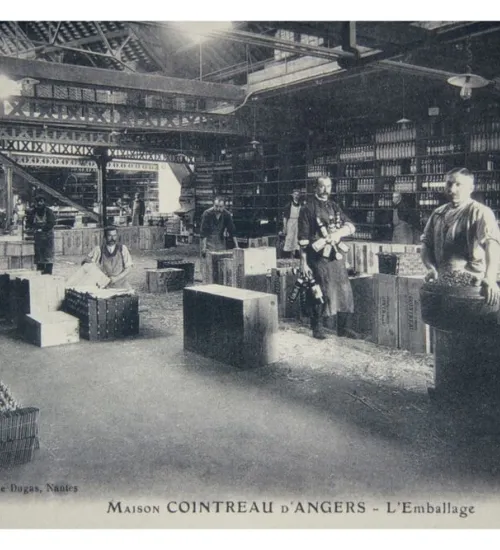 GESCHICHTE VON COINTREAU