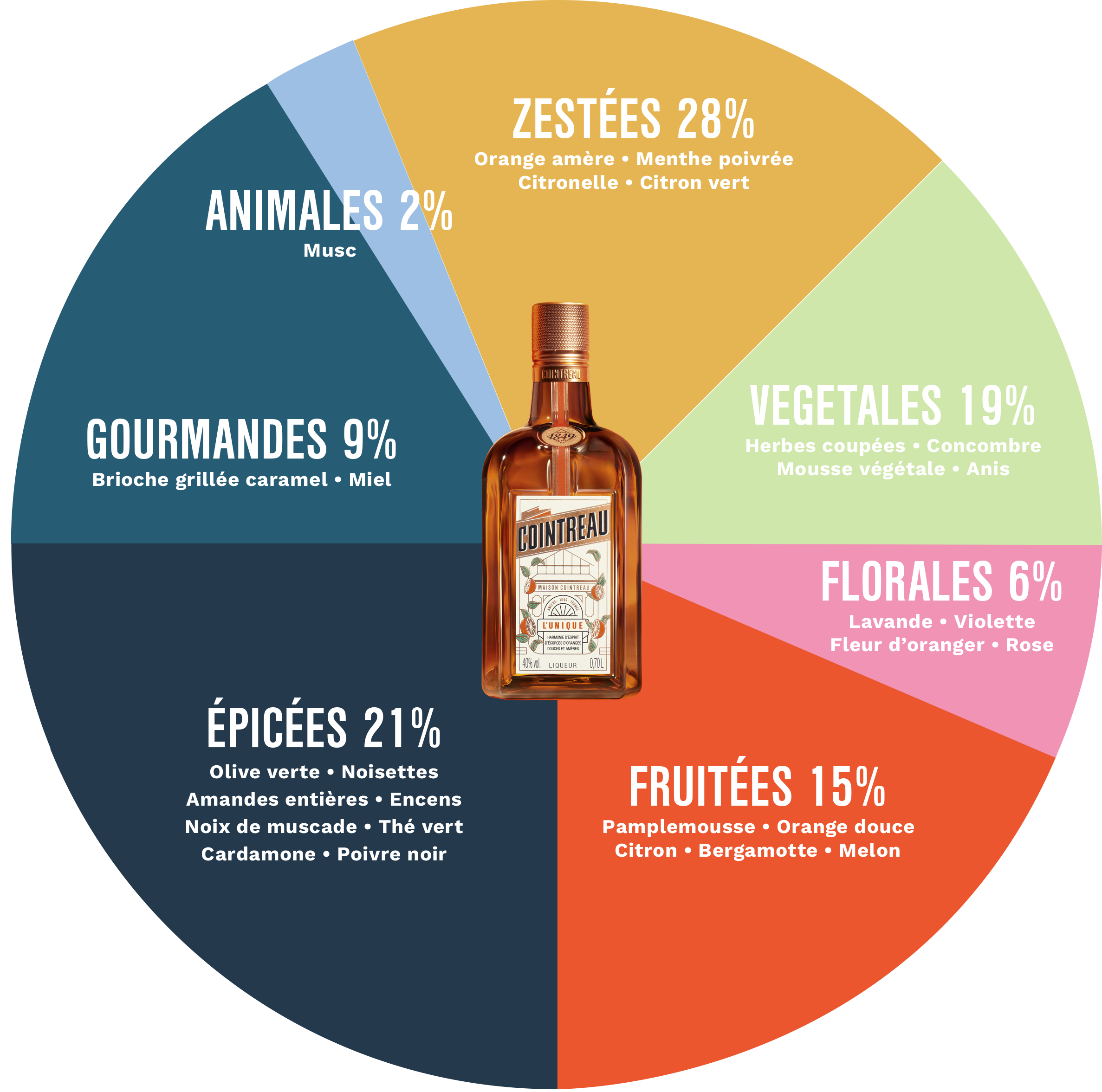 Discover our Aroma Wheel