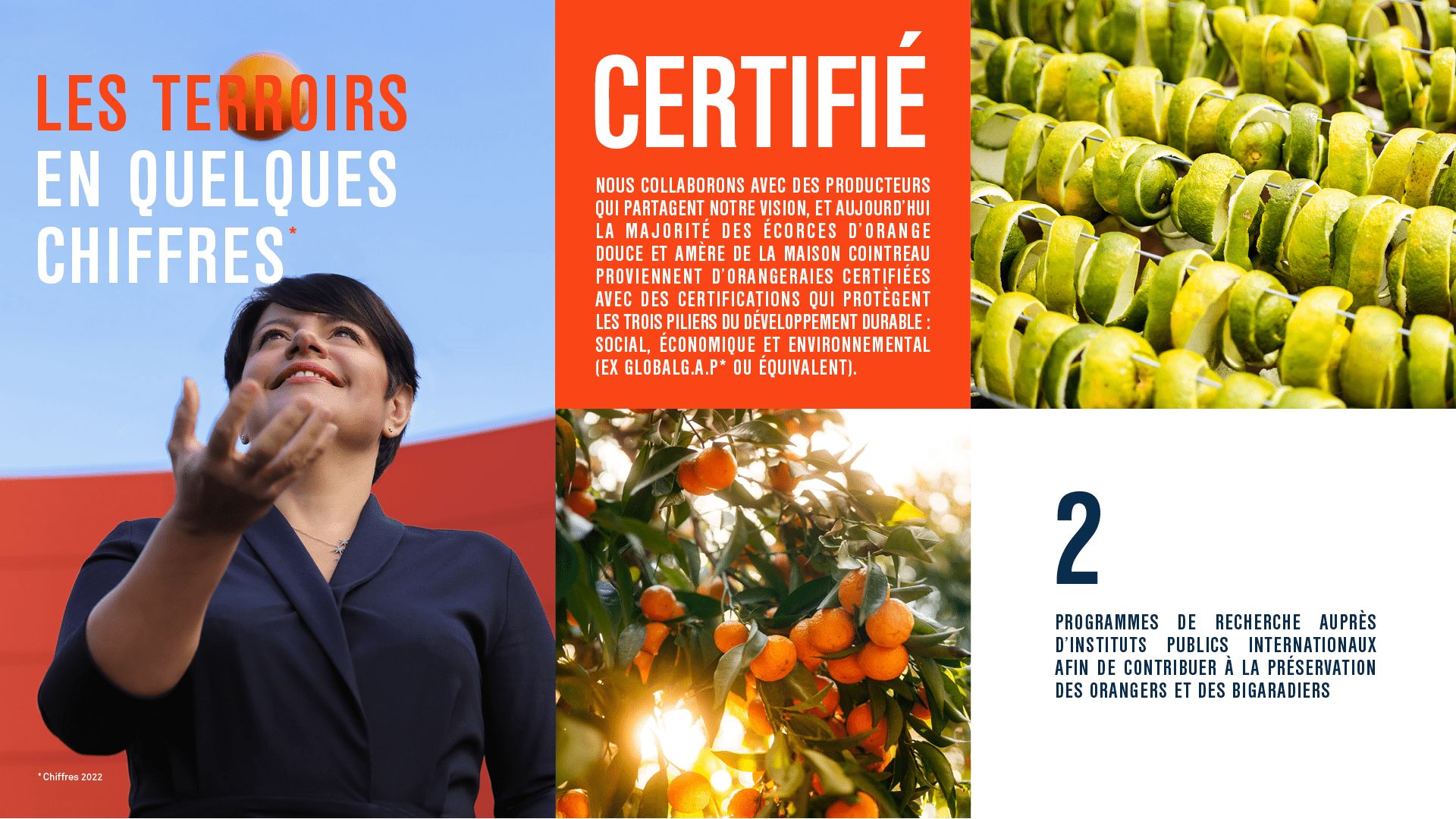 Infographie terroir