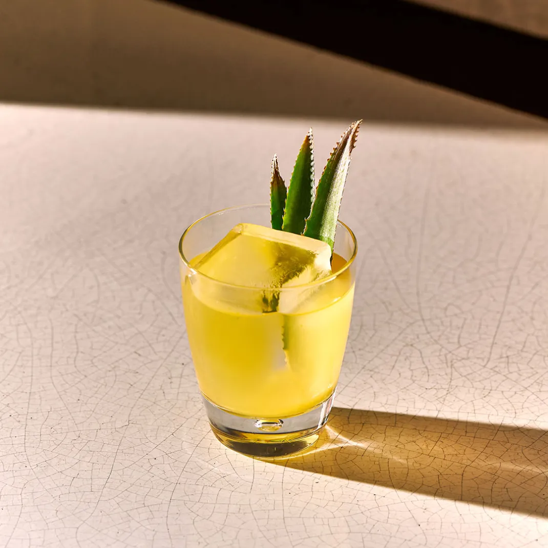 pina marga