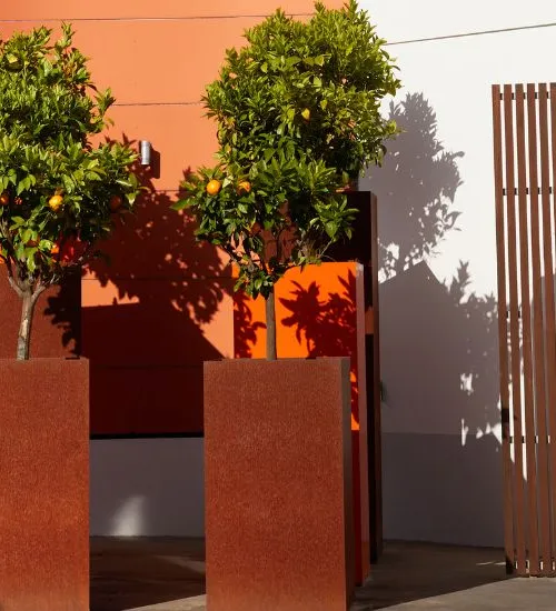 carré cointreau