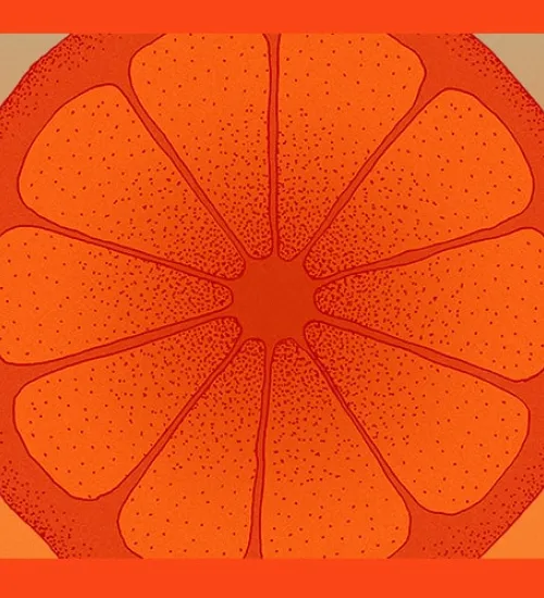 jeu concours Margarita 