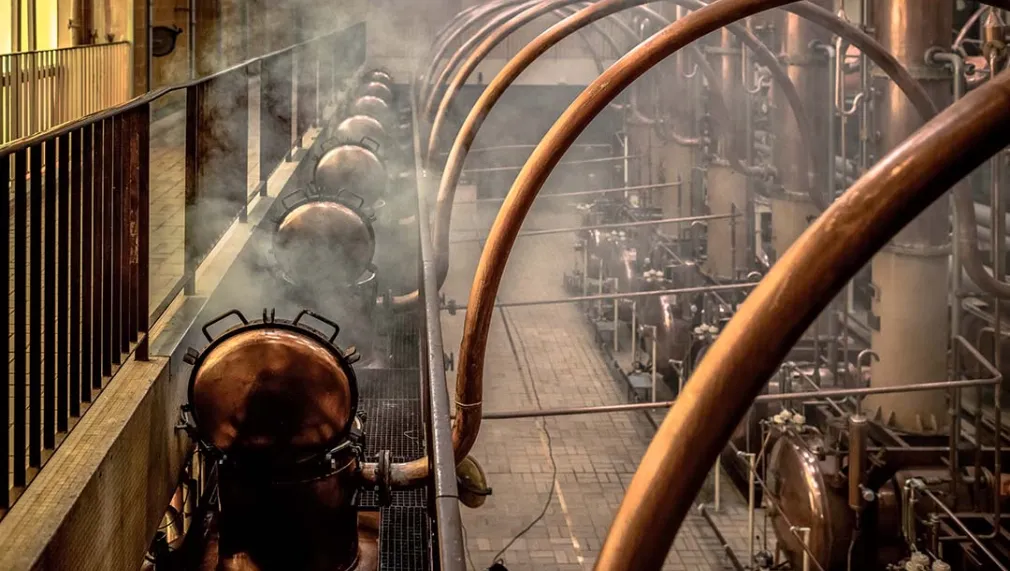 Cointreau-Photo-Distillery