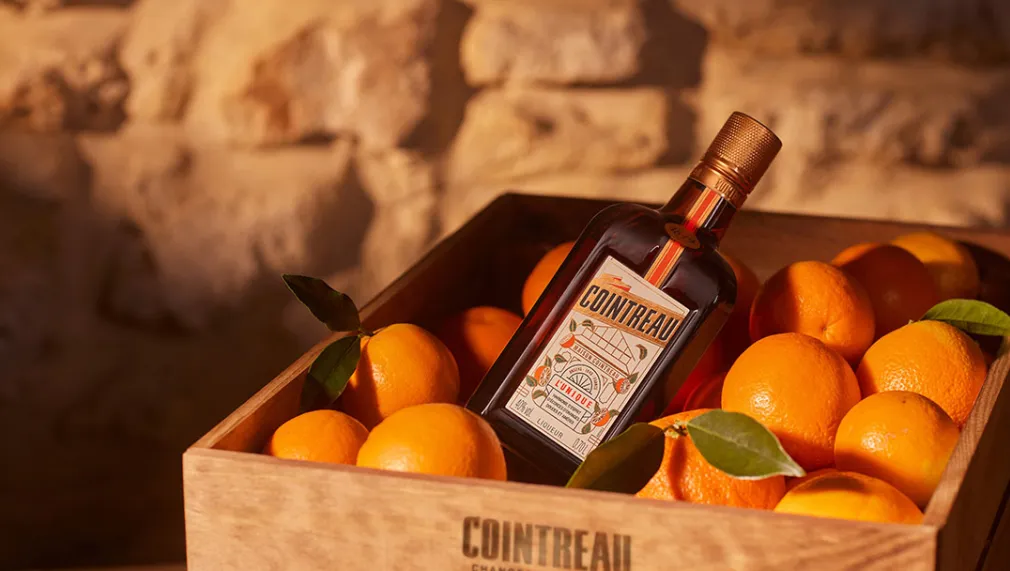 Cointreau-Photo-Visuel-image-CTR_VEGAN_DAY
