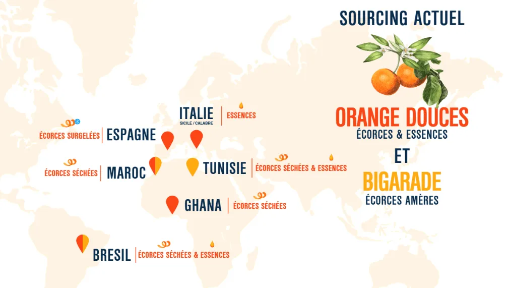oranges maps csr