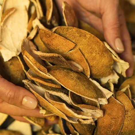 Le contrôle qualité