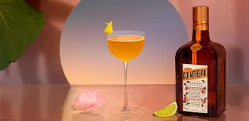 Masterclass Cocktail