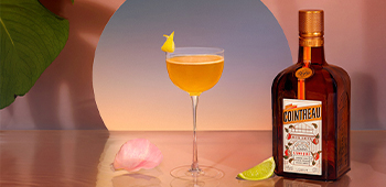 Masterclass Cocktail