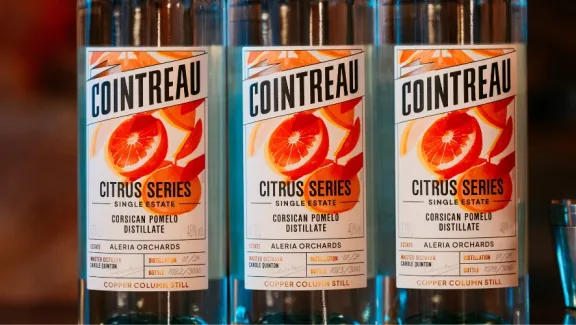 Citrus Series