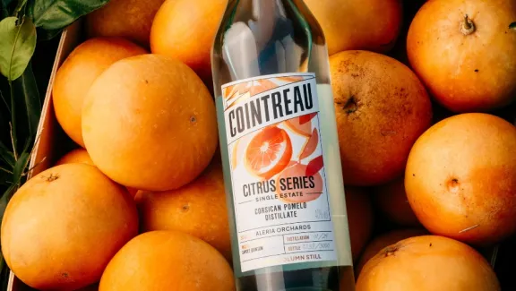 Citrus Series