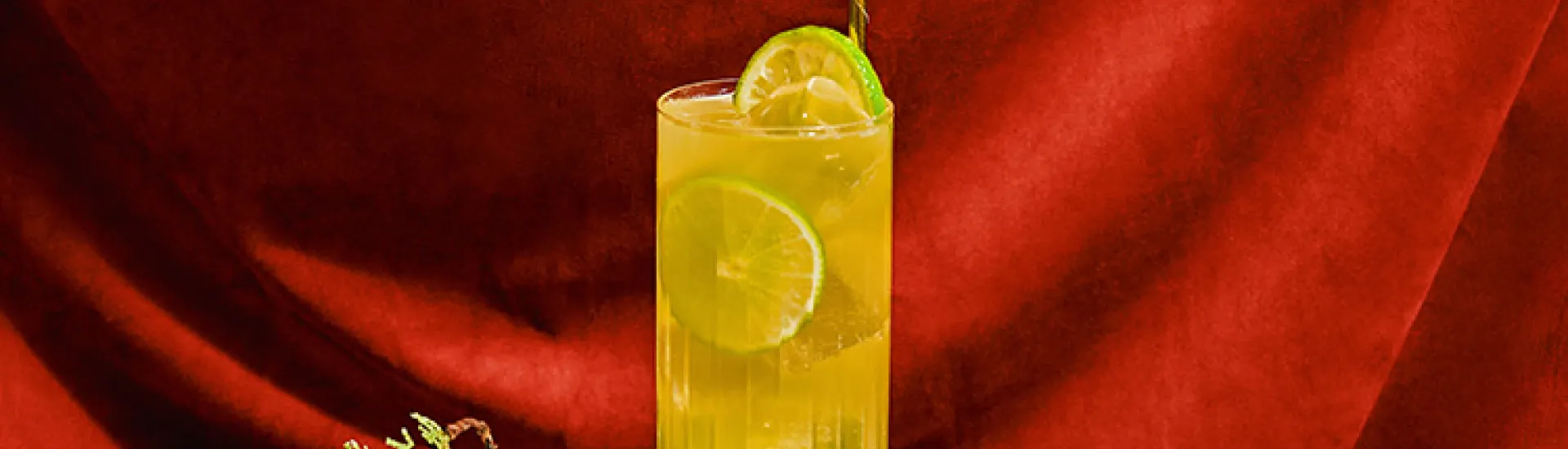 The Merry Mule