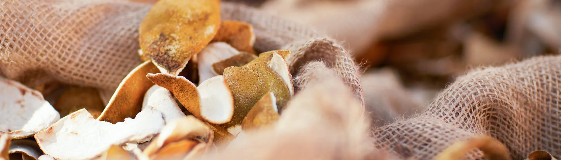 terroir orange dry peels