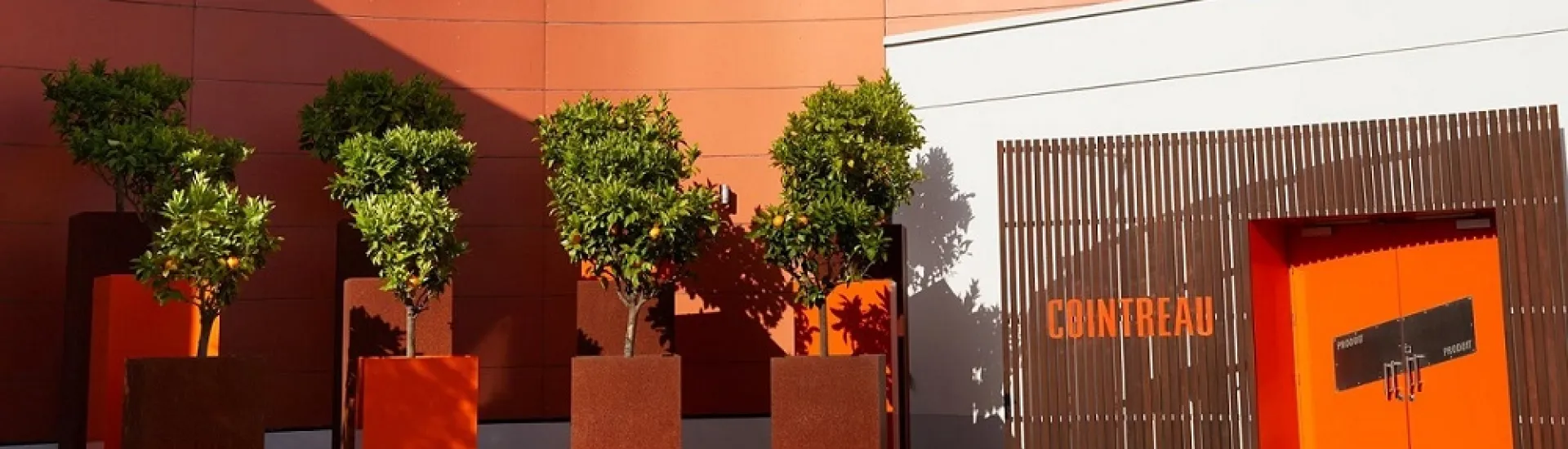 Header video thumbnail