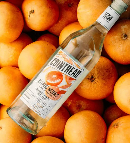 Citrus Series