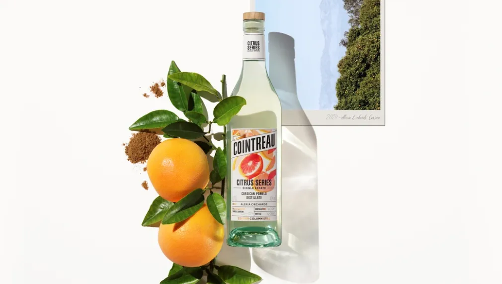 From Orchard to Bottle