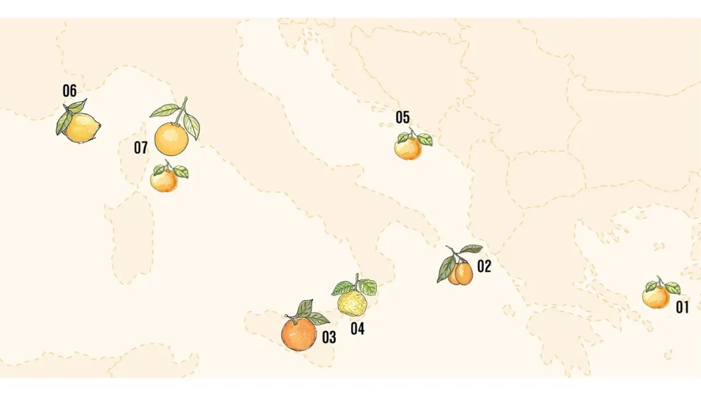 Terroir Shapes Citrus Flavours