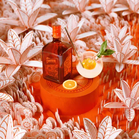Orange limited edition and orange cocktail