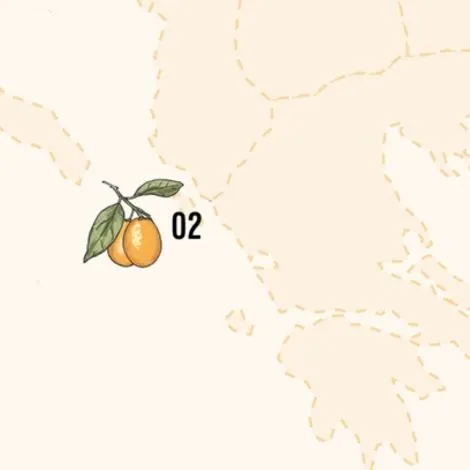 Terroir Shapes Citrus Flavours