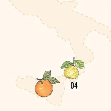 Terroir Shapes Citrus Flavours