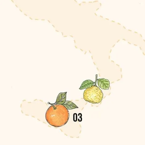 Terroir Shapes Citrus Flavours