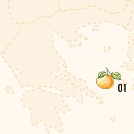 Terroir Shapes Citrus Flavours