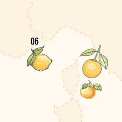 Terroir Shapes Citrus Flavours