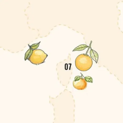Terroir Shapes Citrus Flavours