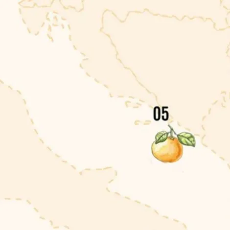 Terroir Shapes Citrus Flavours
