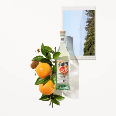 CITRUS SERIES