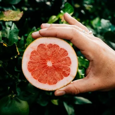 Citrus Series