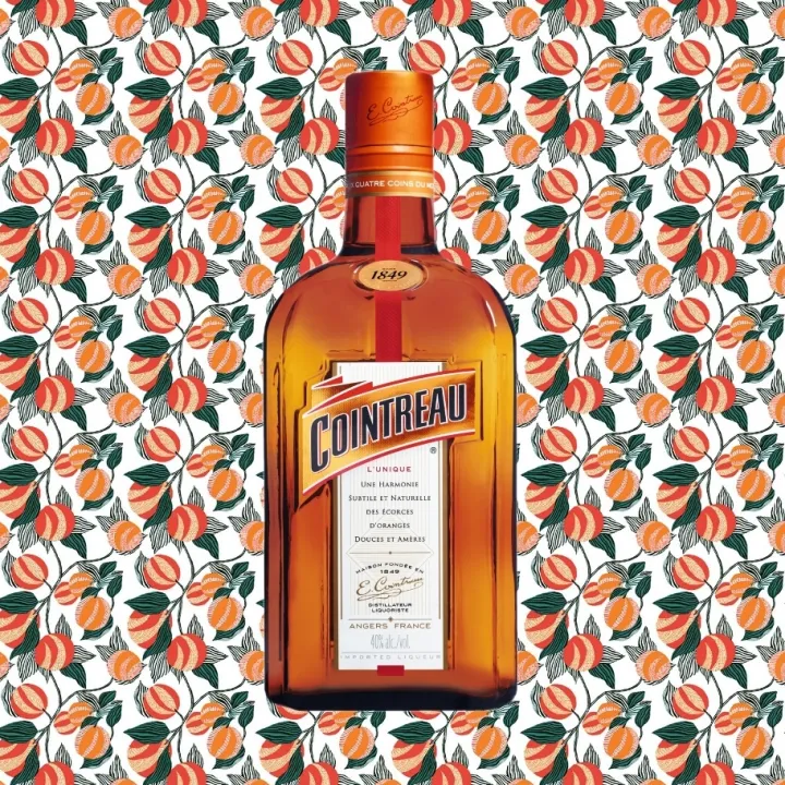 #1orange1treeプロジェクトが日本に上陸