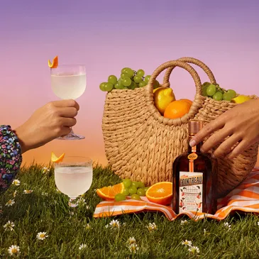 picnic cocktails