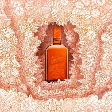 The perfect holiday gift