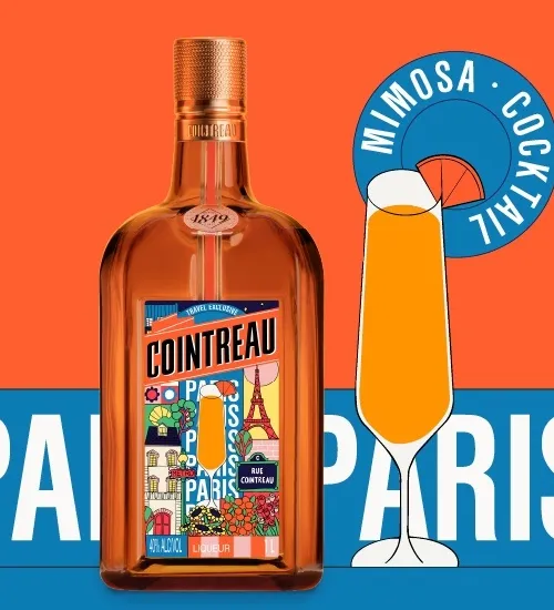 Paris x Mimosa