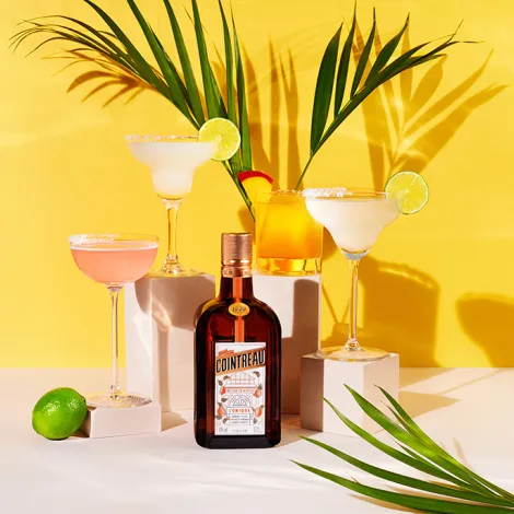Top Margarita Cocktails