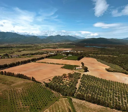 TERROIR SHAPES CITRUS FLAVOURS