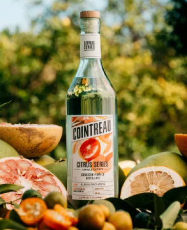 Citrus Series