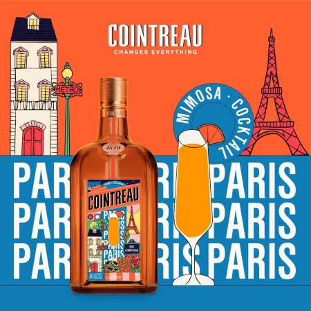 Paris x Mimosa