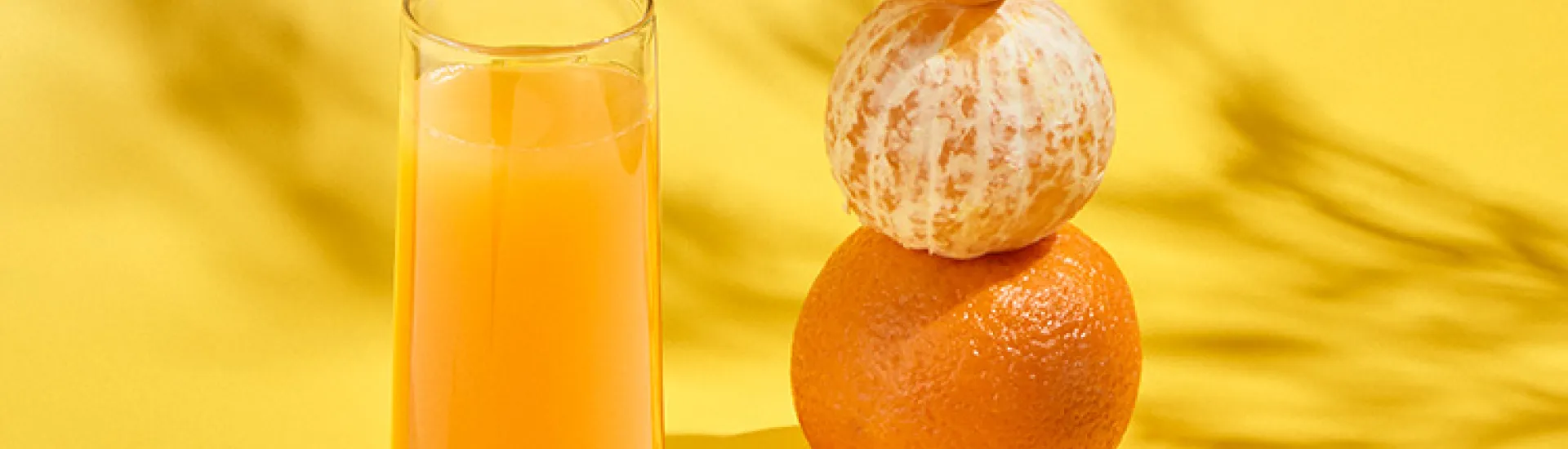 Mimosa